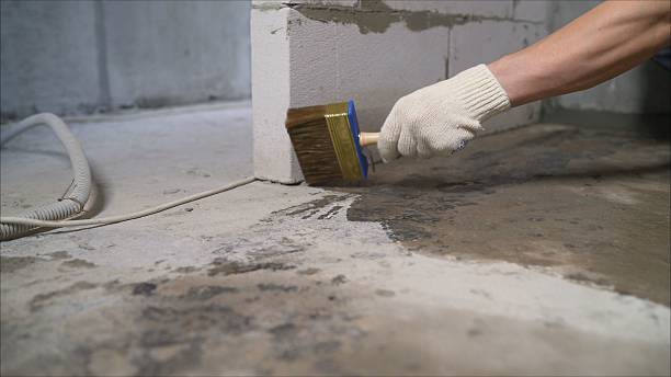 24/7 Emergency Crawl Space Encapsulation experts in Concord, MI